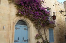 5 - ST.JULIAN'S-LUQA-SPLIT